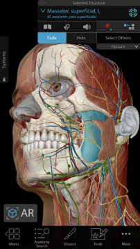 Human Anatomy Atlas 2020: Complete 3D Human Body